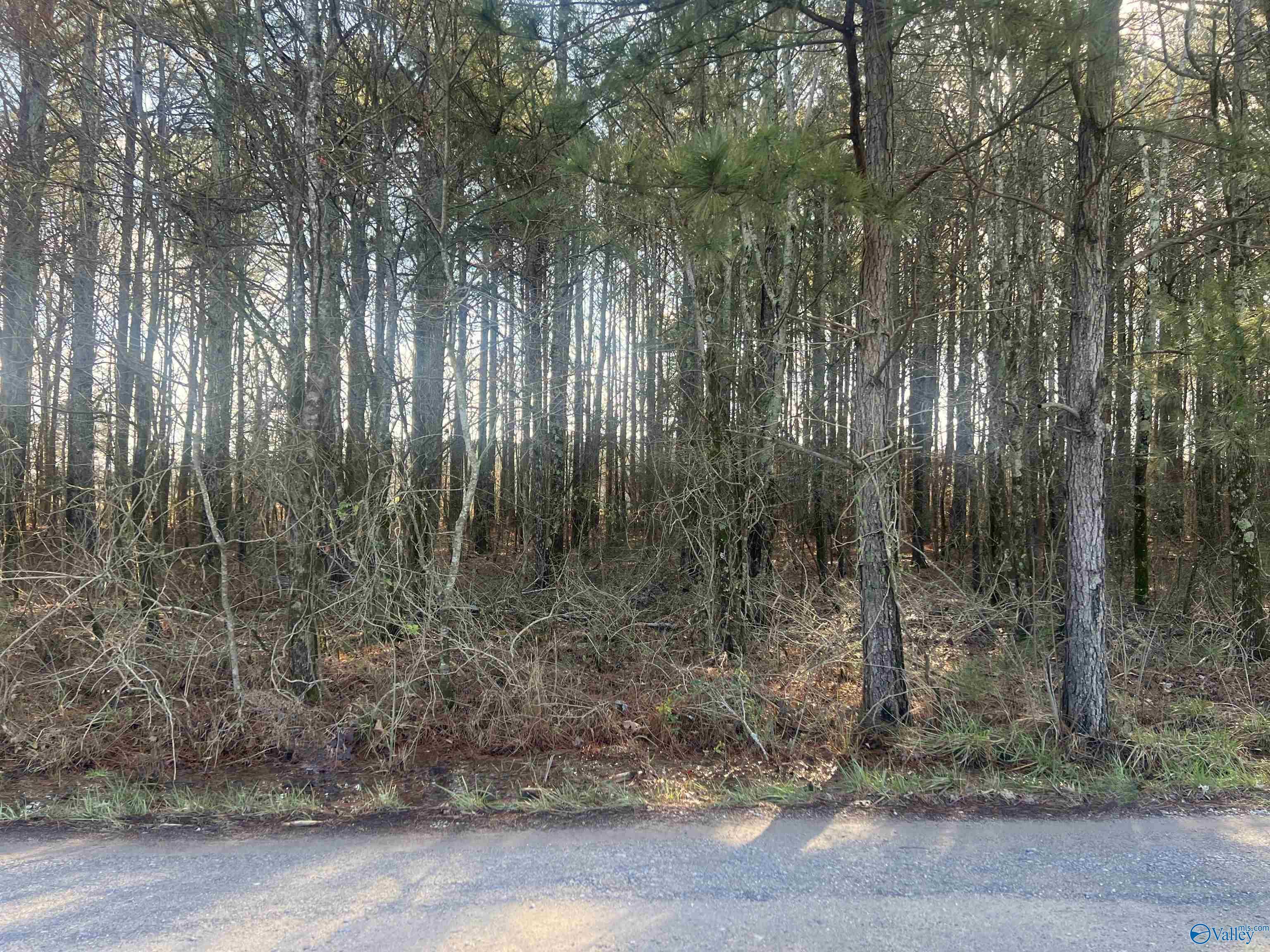 Image 4
