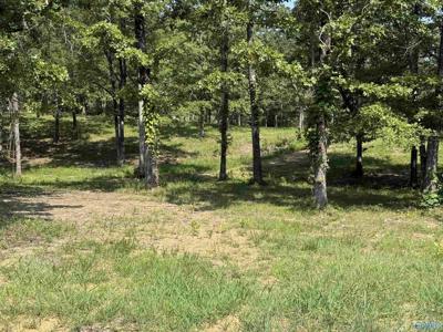 1 County Road 819