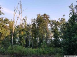 13 Waldrop Road