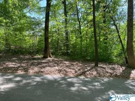 Blue Springs Drive