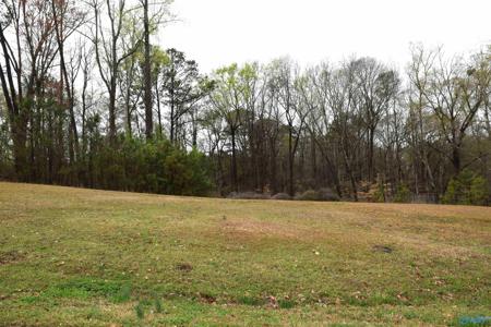 Lot 21 Cheyenne Drive