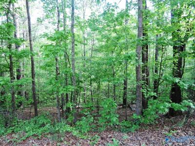 Lot 4 Harbor Lights Trail