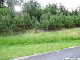 183 Stoney Point Drive