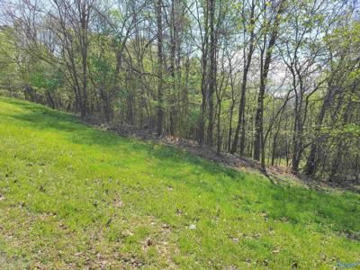 1283 Monte Sano Drive