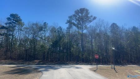 1.3+/- Ac Stoney Point Landing