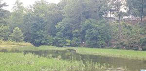 Lot 24 Odonnell Road
