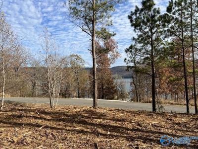 Lot 147 Lookout Mountain Drive