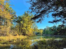 LOT 9 Golden Pond Road