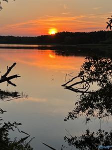 Lot 6 Highway 411