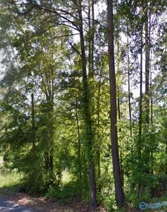 Lot 3 Valley Lake Drive