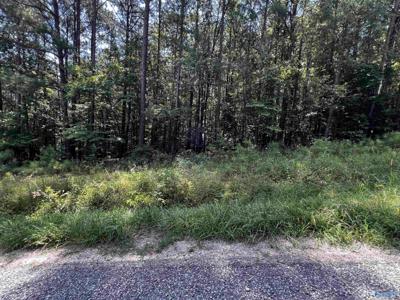 0.69 Acres County Road 592
