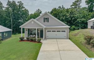 1005 Laurinda Lane