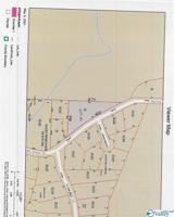00 Spring Creek Drive