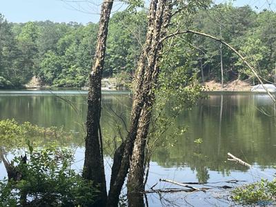 2 acres County Road 113
