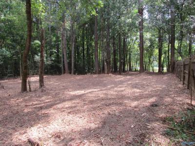 Lot 11 Ross Subdivision Road