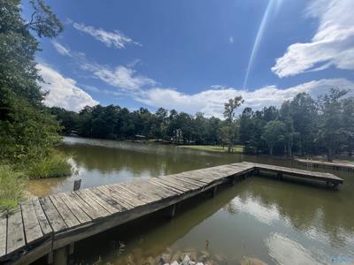 lot 4 County Road 819