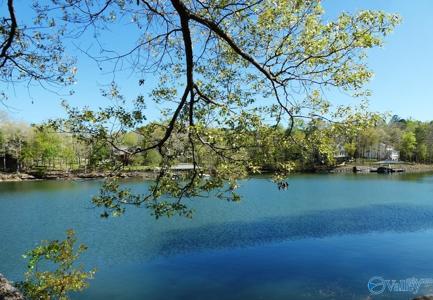 Lot 7 Bullbranch Drive