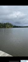 445 Goose Pond Island Drive