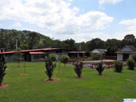 3408 Colonial Drive