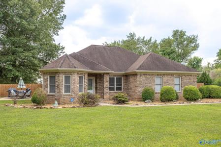58 County Road 445