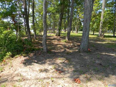 Lots 37 - 38 County Road 182