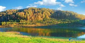 Lot 401 Colonial Drive