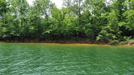 Lot 9 Edgewater Bend Road