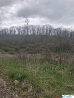 2.5 acres Conley Road