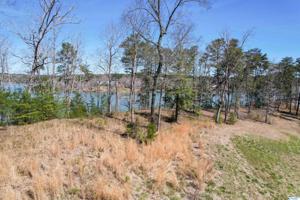 Lot 19 Long Leaf Road