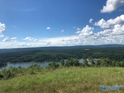 Lot 313 County Road 767