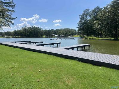 Lot 3 County Road 131