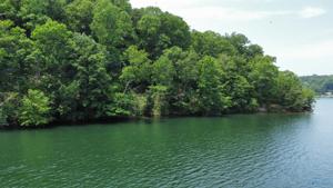 21301 County Road 222