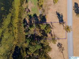 LOT 8 Lake Creek Drive