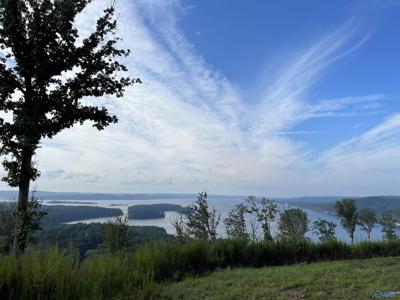 181 acres Lewis Mountain Road