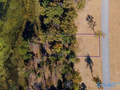 LOT 10 Lake Creek Drive