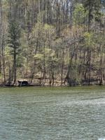 393 County Road 4032