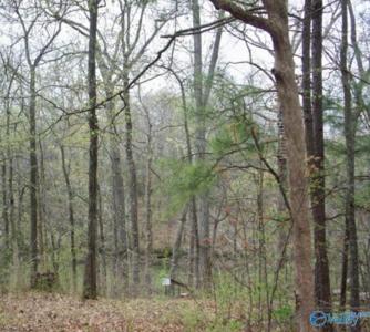 Lot 3 Dogwood Circle