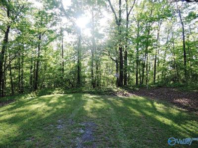 81 Pinewood Point
