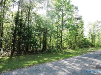 69 Timber Line Court