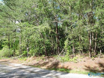 64 Timber Line Court