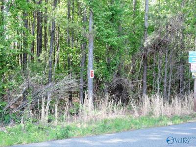 Lot 6 Arrowhead Drive
