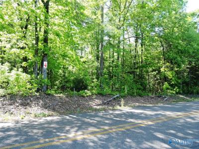 Lot 4 Arrowhead Drive