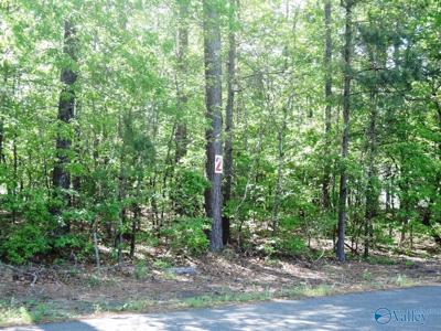 Lot 2 Arrowhead Drive