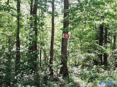 63 Timber Line Court
