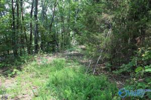 0 County Road 67