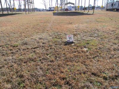 Lot 11 County Road 31
