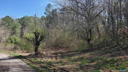 PIN-32623 Ridge Circle