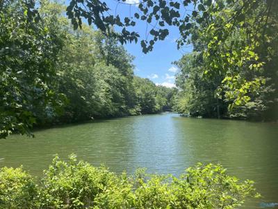 2.8 acres County Road 3132