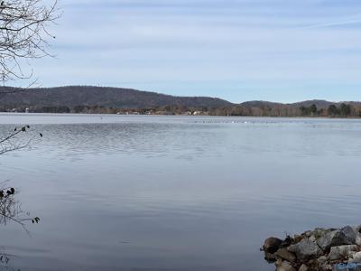 Lot 15 Leota Road