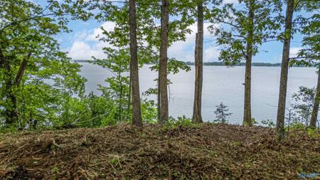 Lot 16 County Road 462